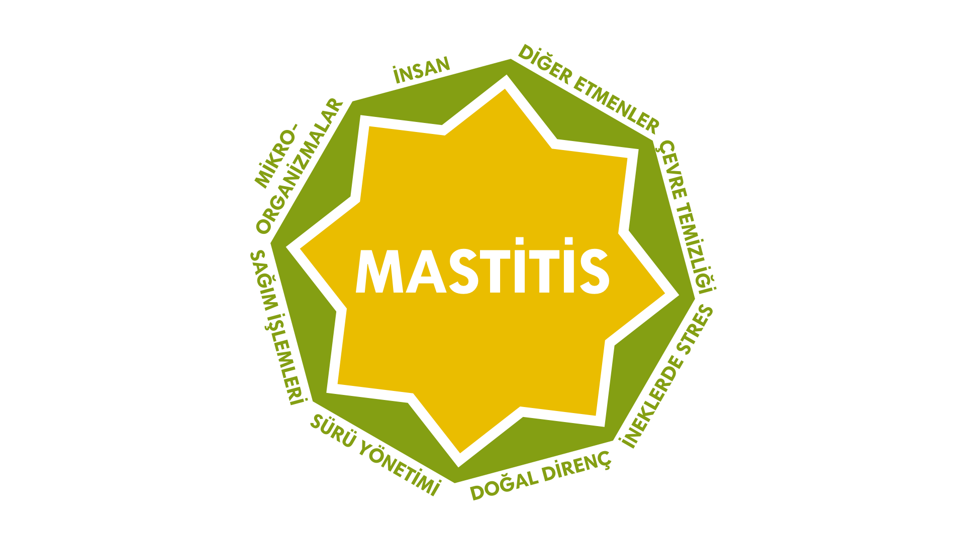 Mastitis